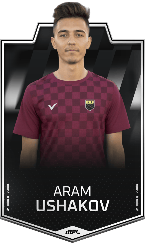 Aram Ushakov asset