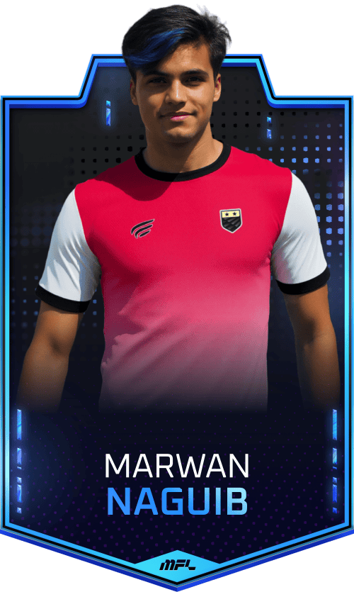Marwan Naguib