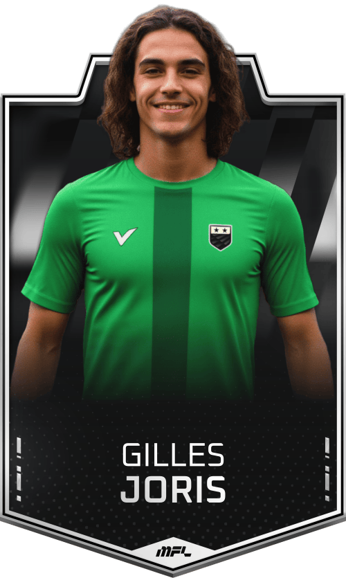 Gilles Joris asset