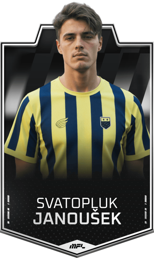Svatopluk Janoušek asset
