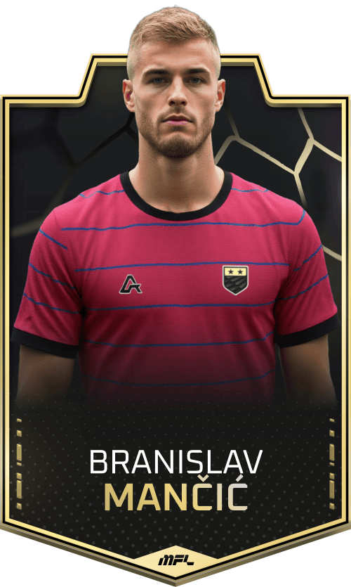 Branislav Mančić asset