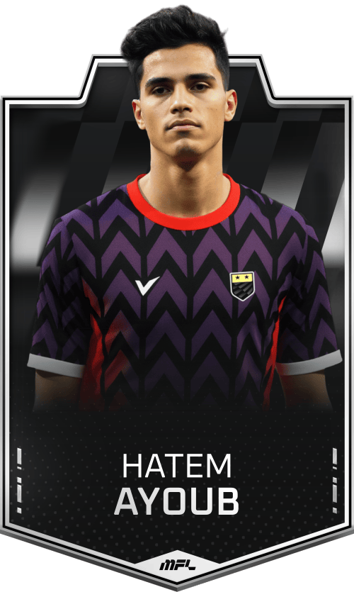 Hatem Ayoub asset
