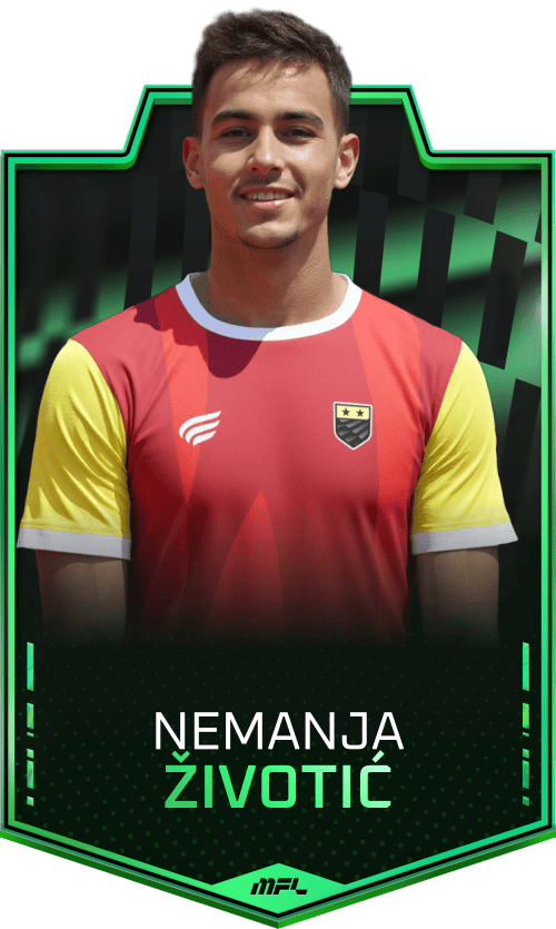 Nemanja Životić asset