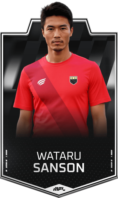 Wataru Sanson asset