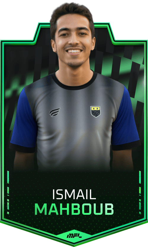 Ismail Mahboub asset