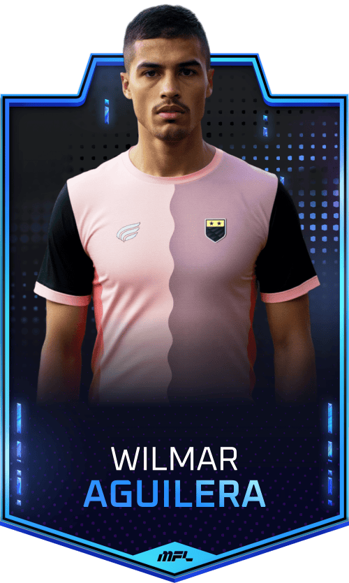 Wilmar Aguilera asset