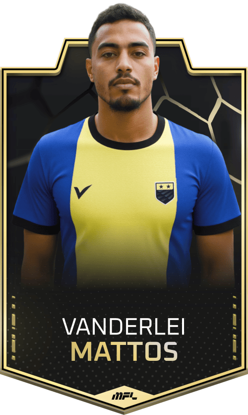 Vanderlei Mattos asset