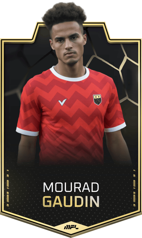 Mourad Gaudin