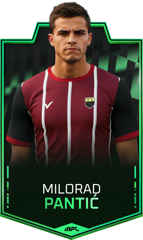 Milorad Pantić asset