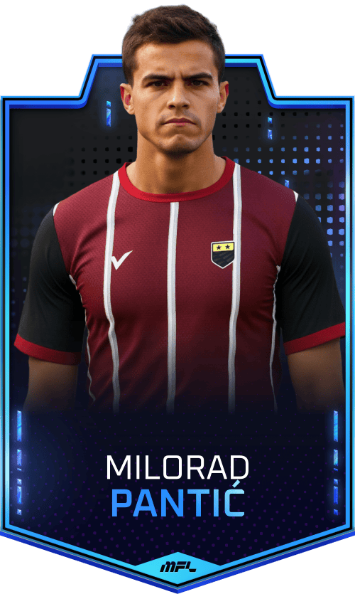 Milorad Pantić asset
