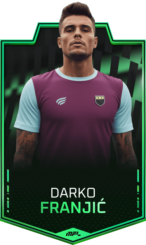 Darko Franjić asset