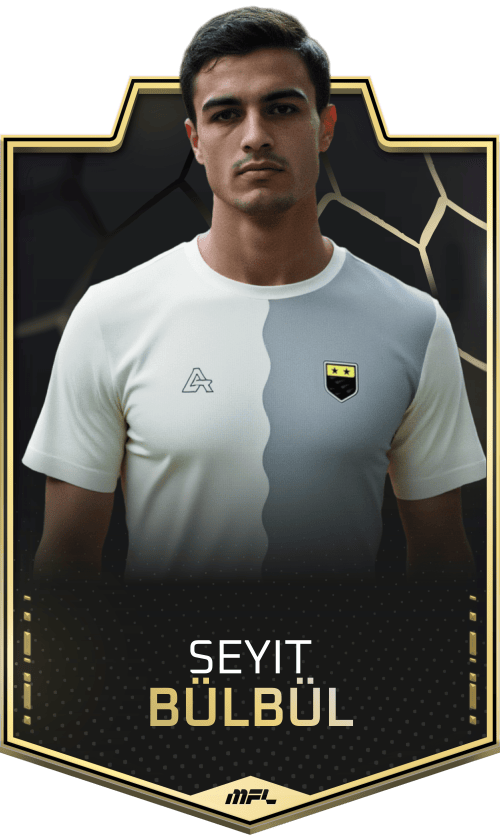 Seyit Bülbül asset