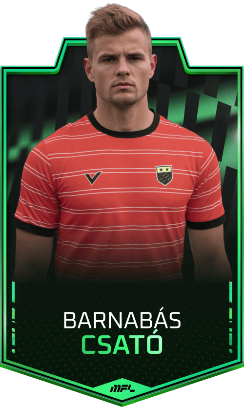 Barnabás Csató asset