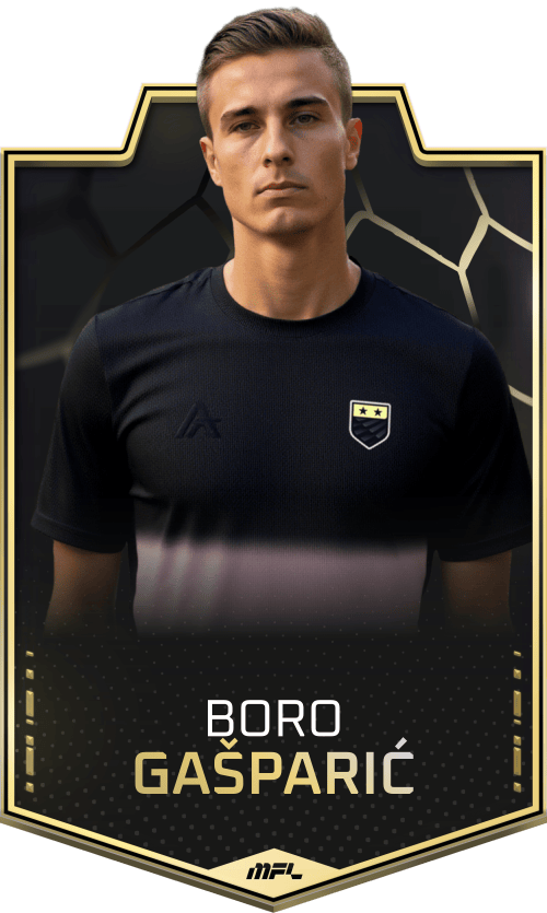 Boro Gašparić asset