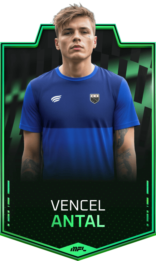 Vencel Antal asset
