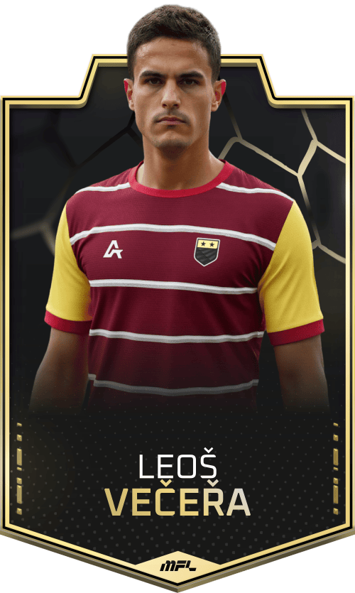 Leoš Večeřa asset