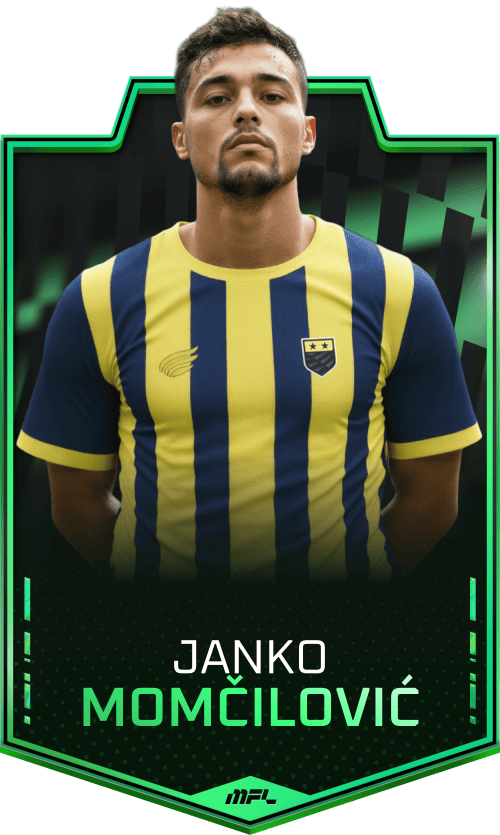 Janko Momčilović asset