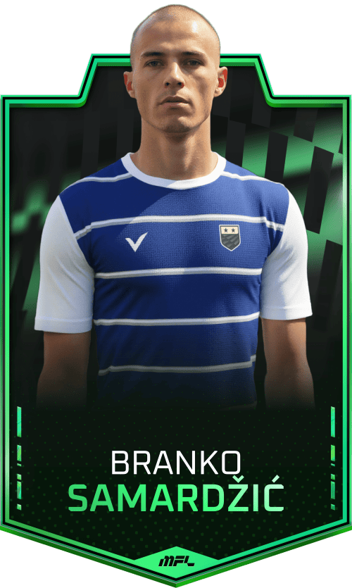 Branko Samardžić asset