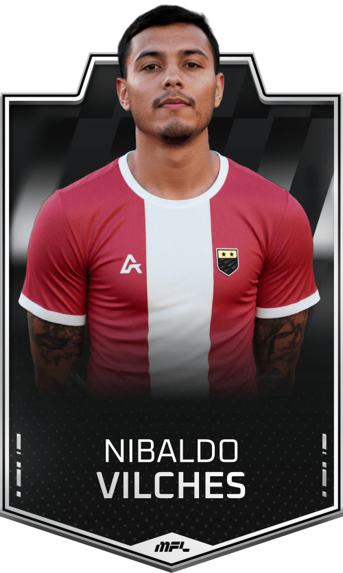 Nibaldo Vilches asset