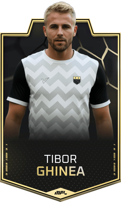 Tibor Ghinea asset