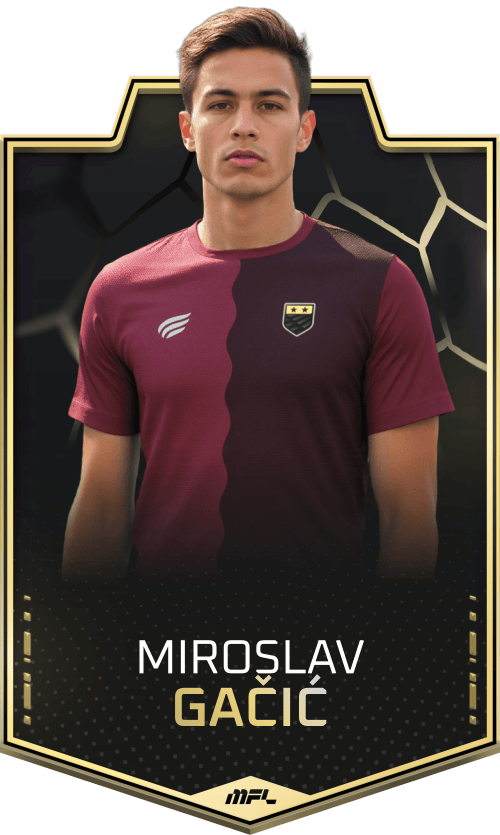 Miroslav Gačić asset