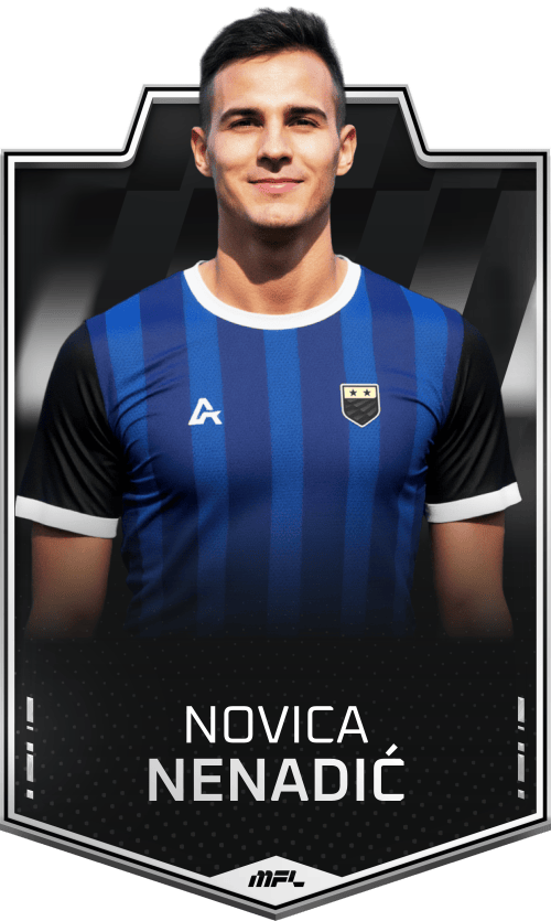 Novica Nenadić asset