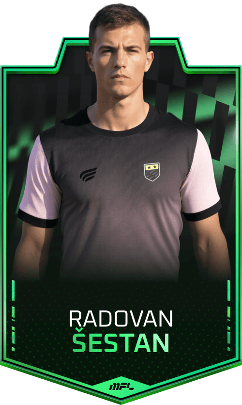 Radovan Šestan asset