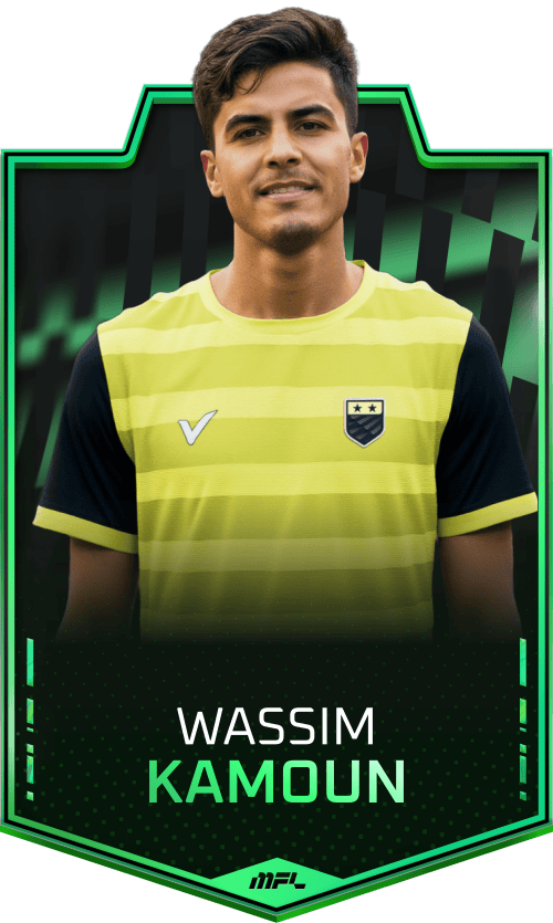 Wassim Kamoun asset