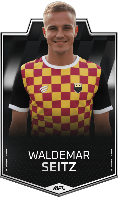 Waldemar Seitz asset