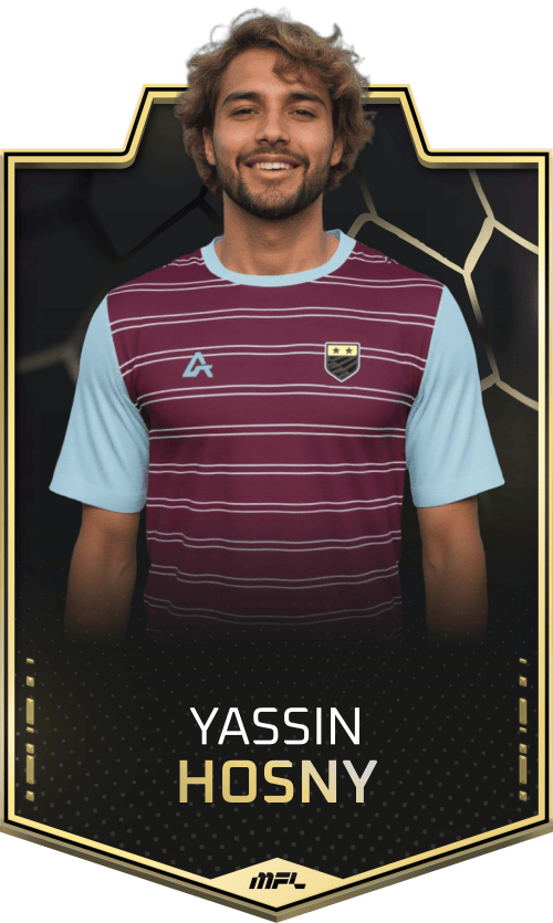 Yassin Hosny asset