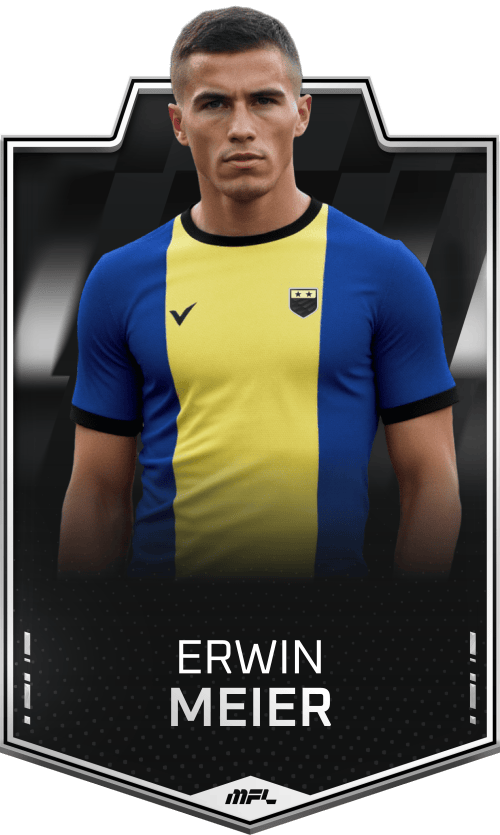 Erwin Meier asset