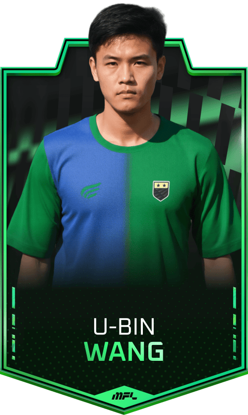 U-bin Wang asset
