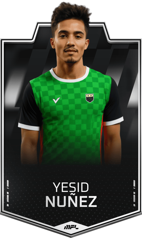 Yesid Nuñez asset