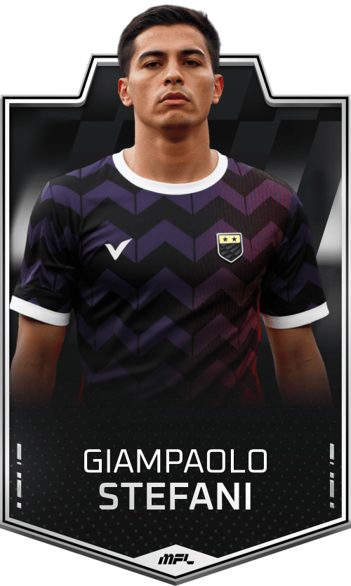 Giampaolo Stefani asset