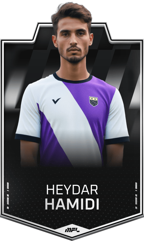 Heydar Hamidi asset
