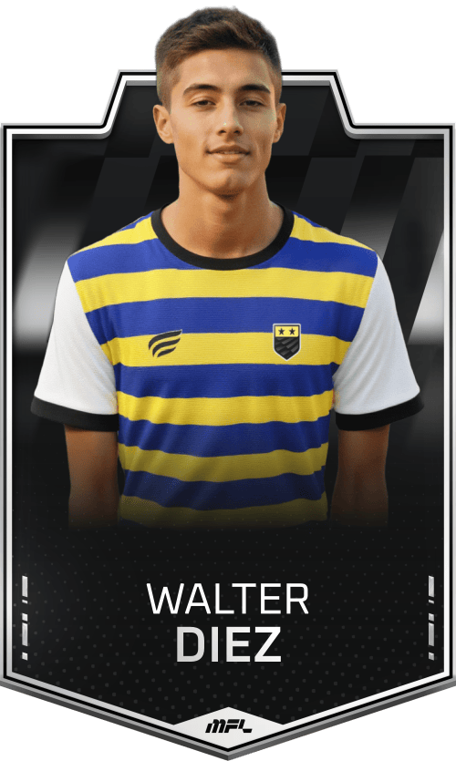 Walter Diez asset