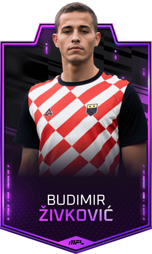 Budimir Živković asset
