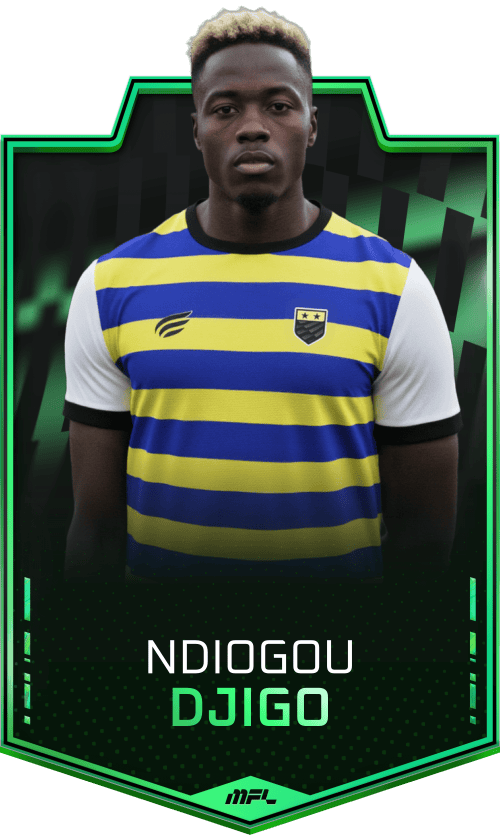 Ndiogou Djigo asset