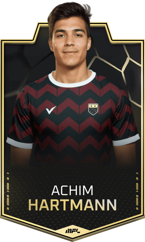 Achim Hartmann asset
