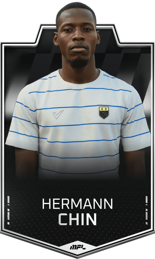 Hermann Chin asset