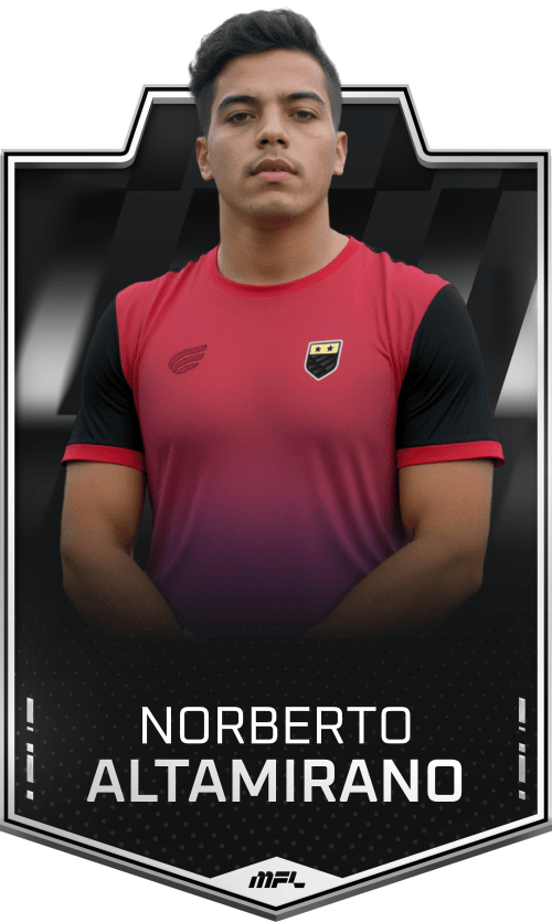 Norberto Altamirano asset