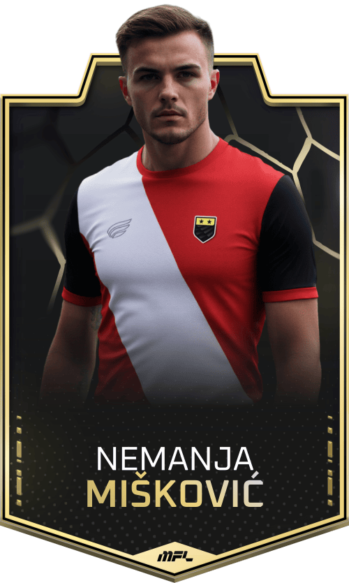 Nemanja Mišković asset