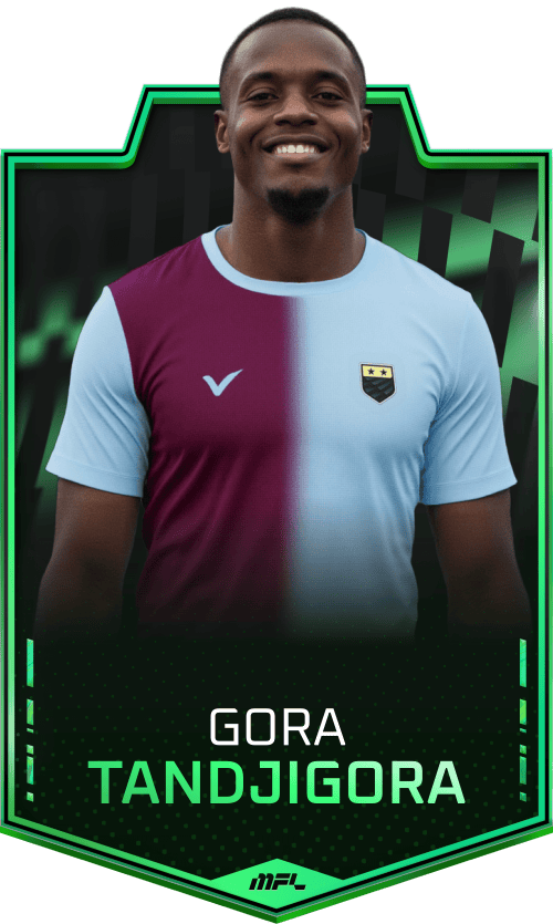 Gora Tandjigora asset