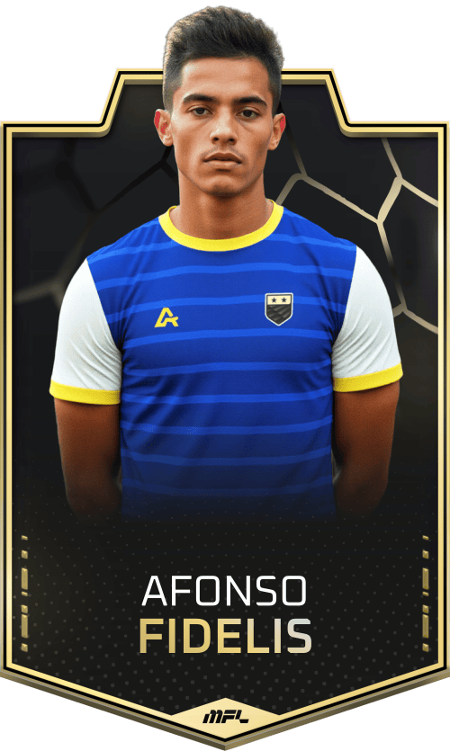 Afonso Fidelis asset