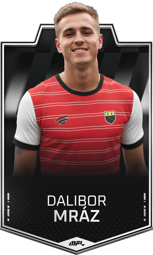 Dalibor Mráz asset