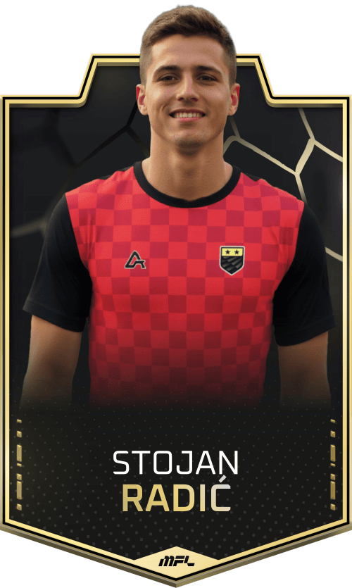 Stojan Radić asset