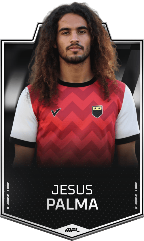 Jesus Palma asset