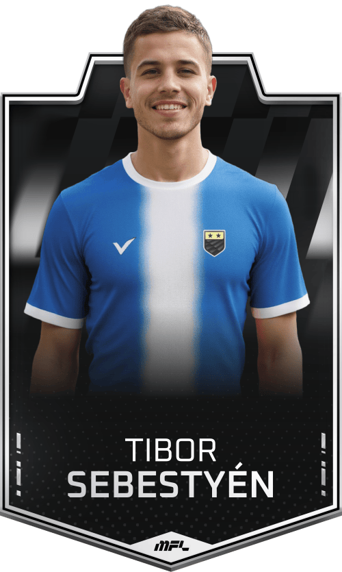 Tibor Sebestyén asset