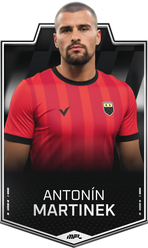 Antonín Martinek asset