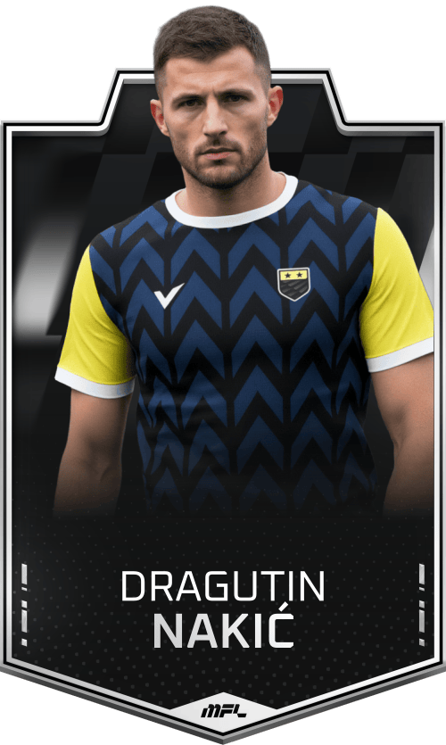 Dragutin Nakić asset